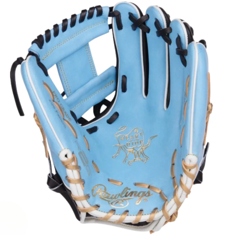 Rawlings R2G Heart of the Hide 11.75" RG Baseball Glove Youth/Adult front